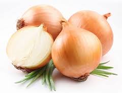 Onion - Freeland